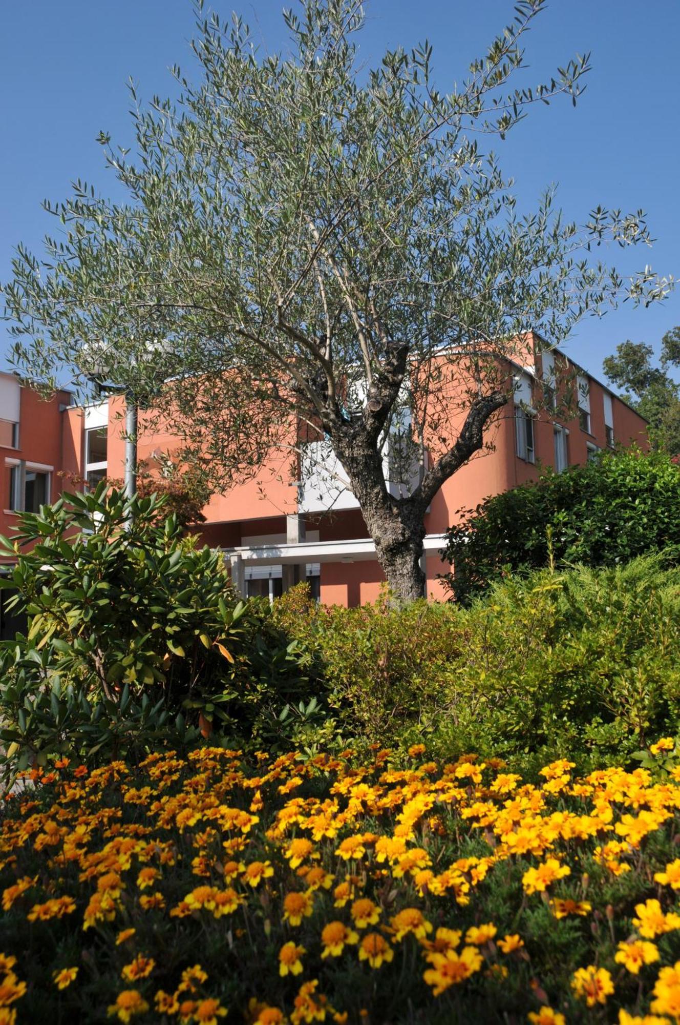 Centro Magliaso Hotel Luaran gambar